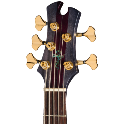 Classic V 5-String Bass with Gigbag - Trans Black
