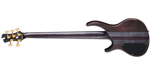 Classic V 5-String Bass with Gigbag - Trans Black