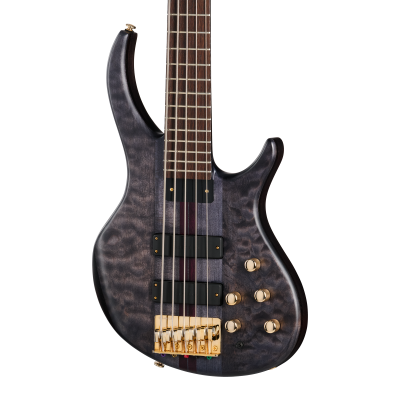 Classic V 5-String Bass with Gigbag - Trans Black