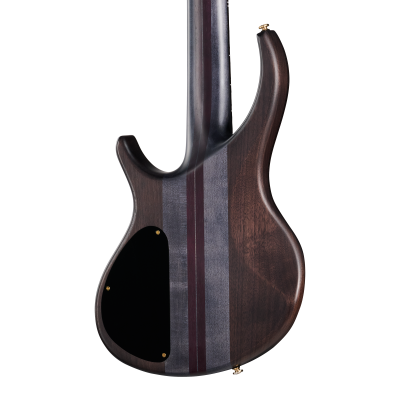 Classic V 5-String Bass with Gigbag - Trans Black