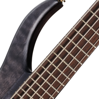 Classic V 5-String Bass with Gigbag - Trans Black