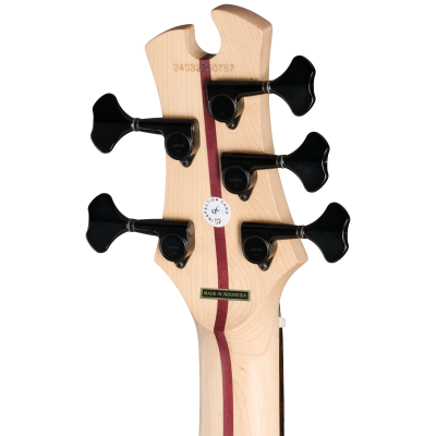 Growler V 5-String Bass with Gigbag - Black Pearl