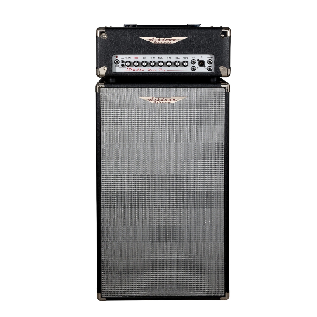 Studio Mini-Rig 250 Watt 2x10\'\' Bass Head and Cabinet
