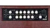 AC 101H 250W 1x10 Acoustic Combo Amp