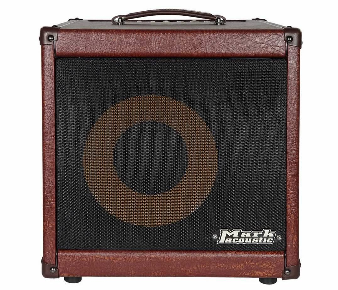 AC 101H 250W 1x10 Acoustic Combo Amp