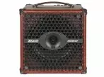 DV Mark - AC 801P 60W 1x8 Acoustic Combo Amp