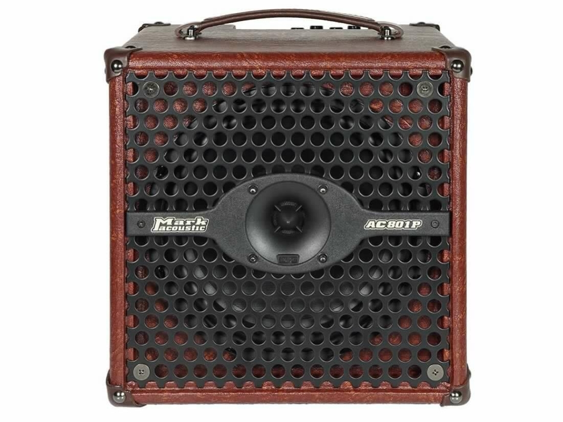 AC 801P 60W 1x8 Acoustic Combo Amp