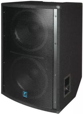 5600 Watt 2 x18 Inch Passive Elite Subwoofer