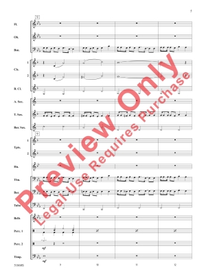 Please Please Please - Allen /Carpenter /Antonoff /Roszell - Concert Band - Gr. 2.5