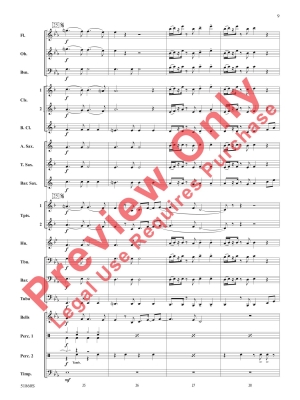 Please Please Please - Allen /Carpenter /Antonoff /Roszell - Concert Band - Gr. 2.5