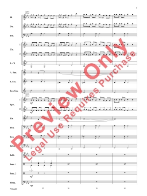 Please Please Please - Allen /Carpenter /Antonoff /Roszell - Concert Band - Gr. 2.5