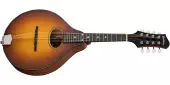 Eastman Guitars - A-Style Oval Sound Hole Mandolin with Gigbag - Goldburst