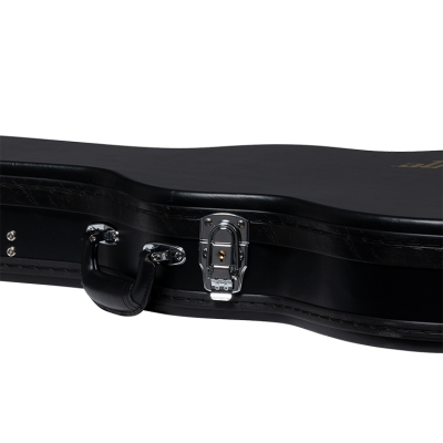 Allen Woody Bass Hard Case