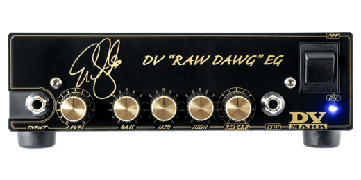DV Mark - DV Raw Dawg EG Eric Gales Signature 250W Micro Head