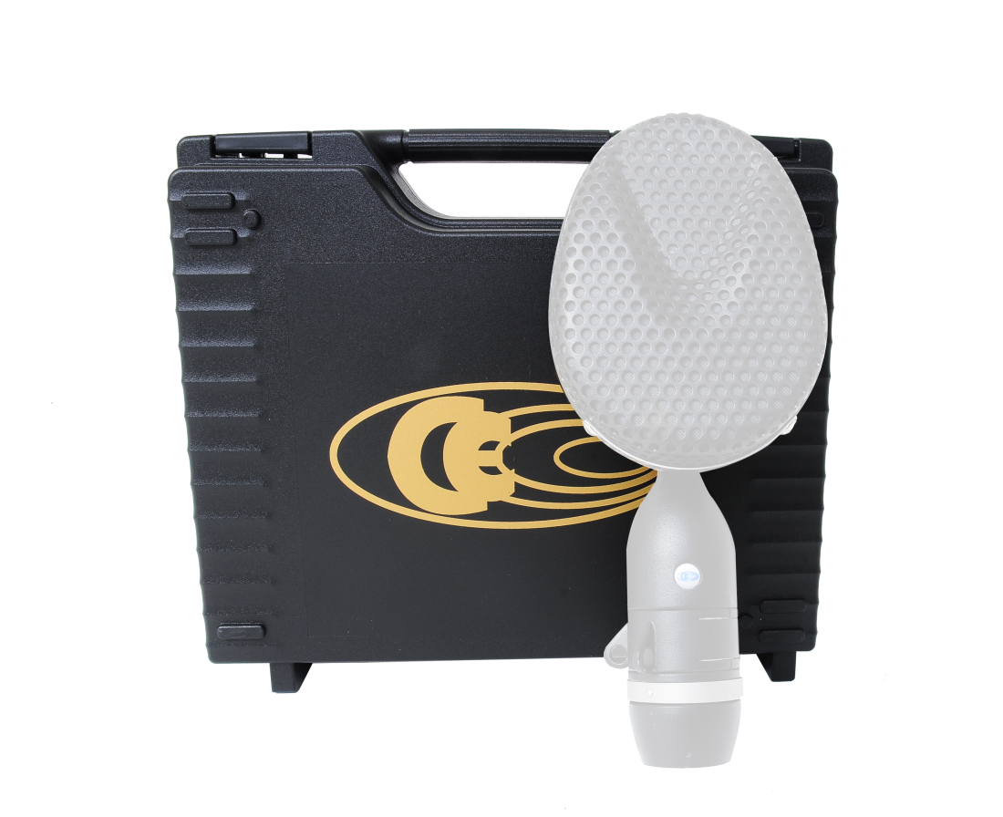 Rigid Plastic Case For 4038