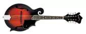 Denver - F-Style Mandolin with Gigbag - Smokey Vintage Satin
