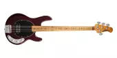 Ernie Ball Music Man - Basse StingRay4 Special avec \u00e9tui (fini \u00ab\u00a0sang de b\u009cuf\u00a0\u00bb)