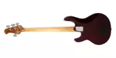 StingRay4 Special Bass with Case - Oxblood