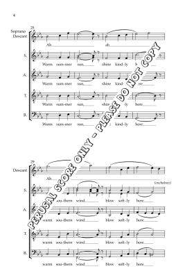 Suivant Les Etoiles - Larkin - SATB