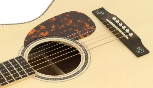 OM-40 Spruce/Bilwhara Deluxe Acoustic Guitar