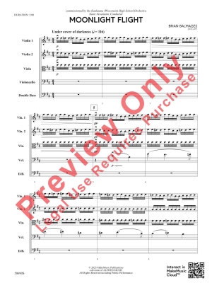 Moonlight Flight - Balmages - String Orchestra - Gr. 4