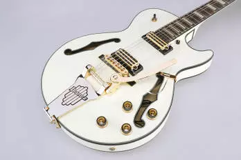 Hollowbody Electric Guitar - Twinkle Snow