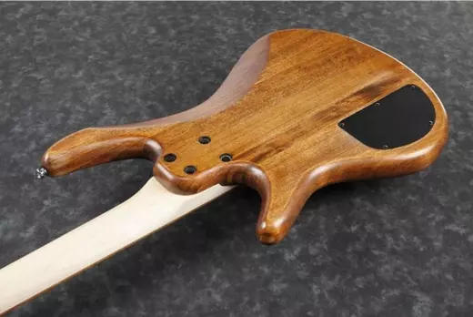 Gio GSR100EX Electric Bass - Mahogany Oil