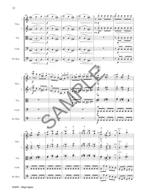 Allegro Agitato - Teichler - String Orchestra - Gr. 4.5