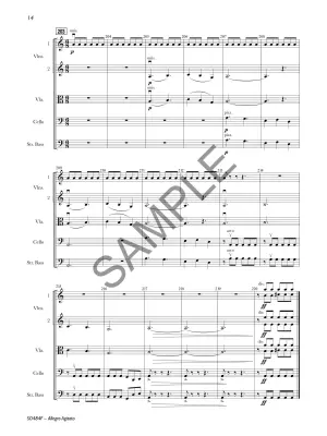 Allegro Agitato - Teichler - String Orchestra - Gr. 4.5