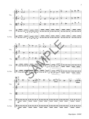 Allegro Agitato - Teichler - String Orchestra - Gr. 4.5