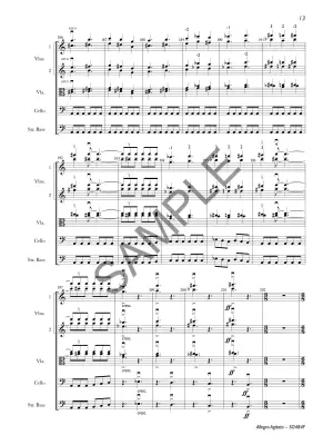 Allegro Agitato - Teichler - String Orchestra - Gr. 4.5
