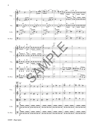 Allegro Agitato - Teichler - String Orchestra - Gr. 4.5
