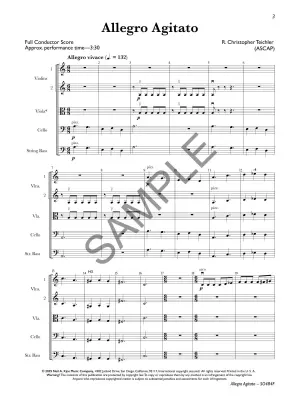 Allegro Agitato - Teichler - String Orchestra - Gr. 4.5