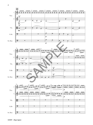 Allegro Agitato - Teichler - String Orchestra - Gr. 4.5