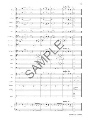 Silent Echoes - Freshner - Concert Band - Gr. 2.5