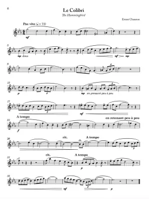 French Music for Alto Flute - Parry/Alley - Alto Flute/Piano - Book
