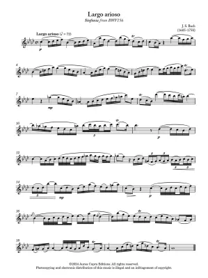 Meditations for Alto Flute - Parry/Alley - Alto Flute/Piano - Book
