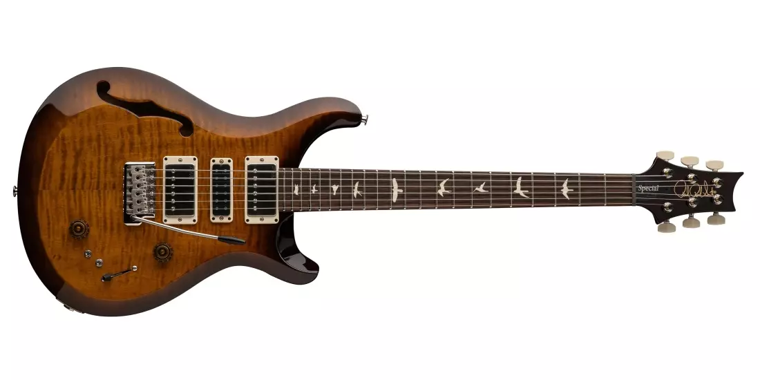 S2 Special Semi-Hollow Electric Guitar with Gigbag - Black Amber
