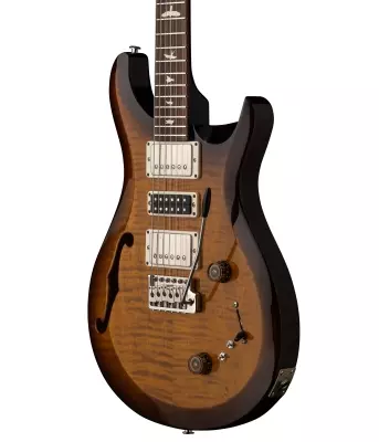 S2 Special Semi-Hollow Electric Guitar with Gigbag - Black Amber