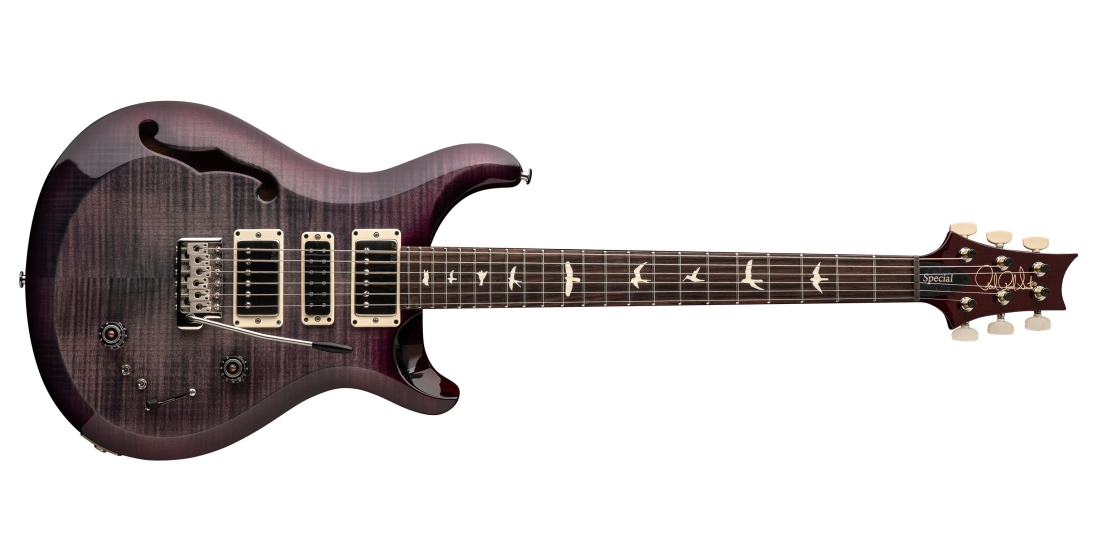 S2 Special Semi-Hollow Electric Guitar with Gigbag - Faded Gray Black Purple Burst