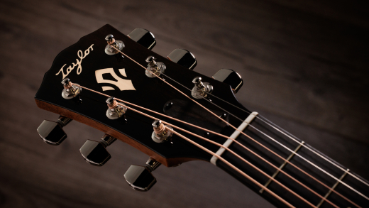 Gold Label 517e SB Acoustic-Electric Guitar with Case - Sunburst  with Fire Stripe Pickguard