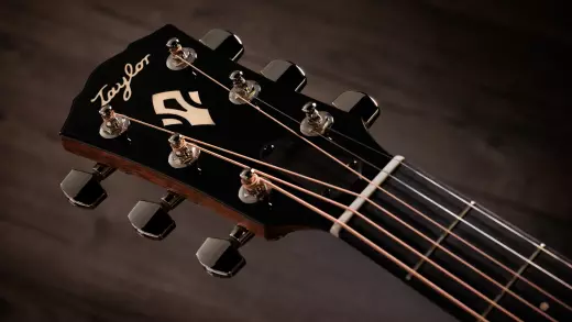 Gold Label 517e Acoustic-Electric Guitar with Case - Natural