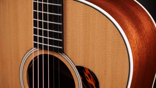 Gold Label 517e Acoustic-Electric Guitar with Case - Natural