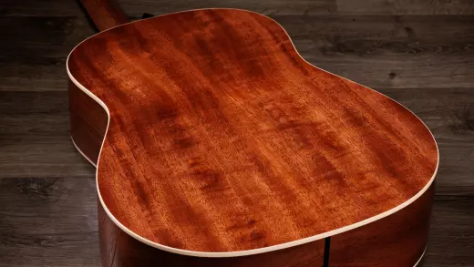 Gold Label 517e Acoustic-Electric Guitar with Case - Natural