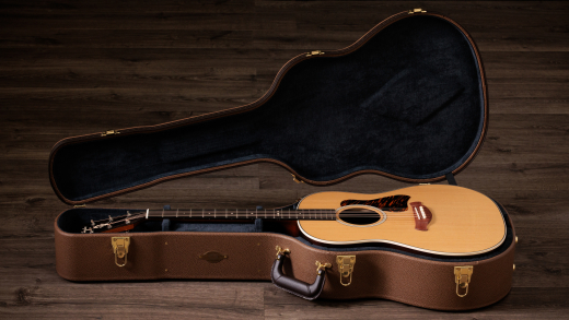 Gold Label 717e Acoustic-Electric Guitar with Case - Natural