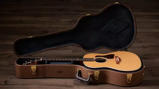 Gold Label 717e Acoustic-Electric Guitar with Case - Natural
