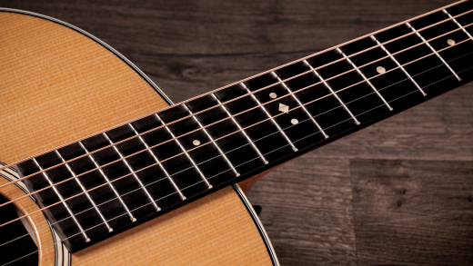 Gold Label 717e Acoustic-Electric Guitar with Case - Natural