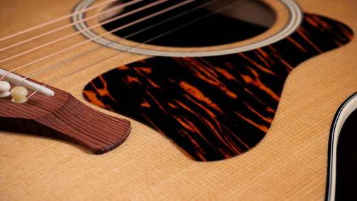 Gold Label 717e Acoustic-Electric Guitar with Case - Natural