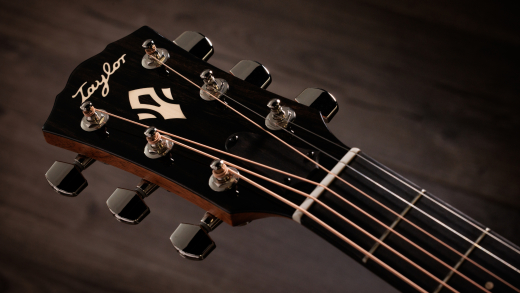 Gold Label 717e Acoustic-Electric Guitar with Case - Natural