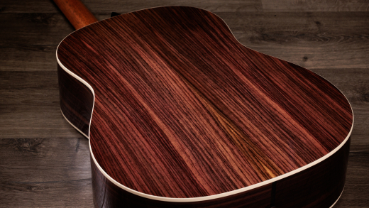 Gold Label 717e Acoustic-Electric Guitar with Case - Natural